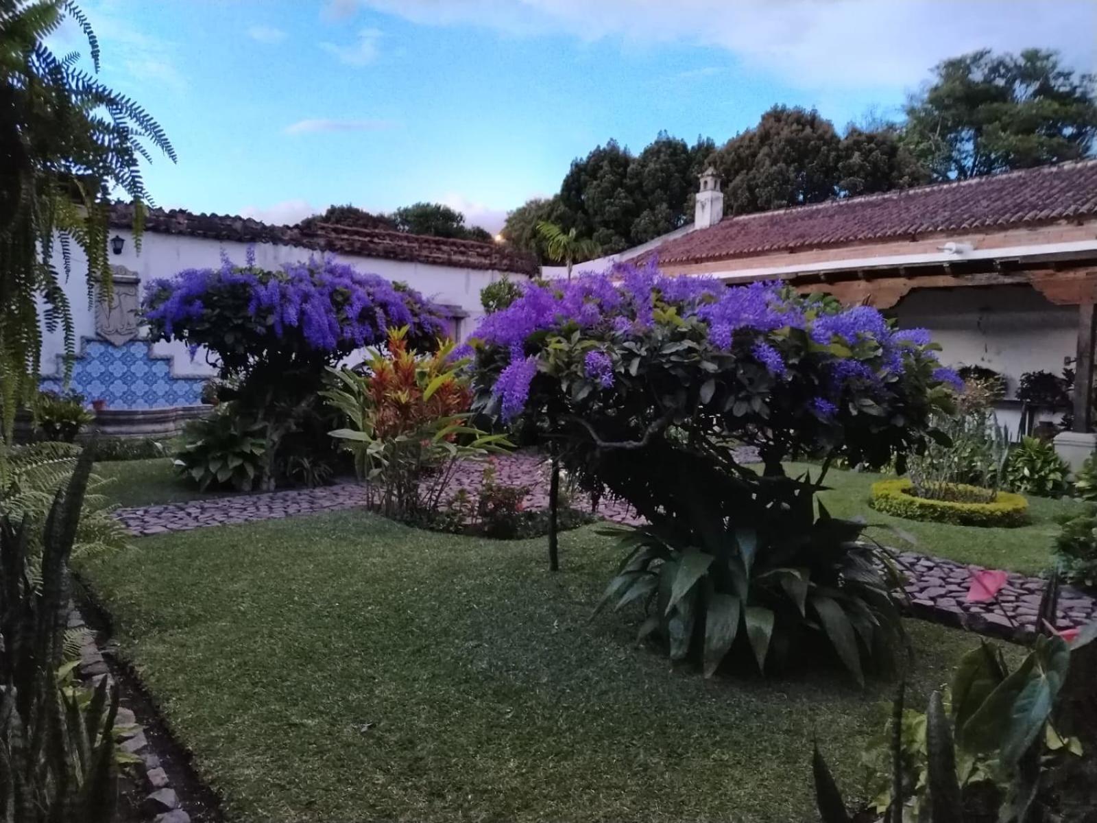 Hostal San Nicolas Antigua Ngoại thất bức ảnh