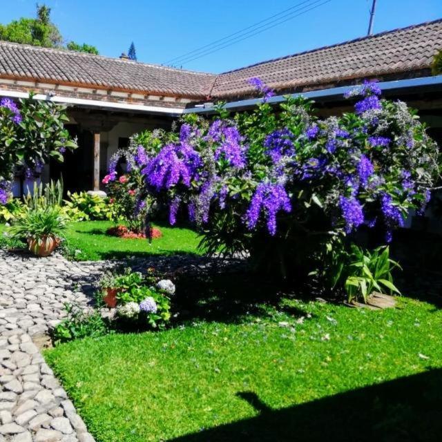 Hostal San Nicolas Antigua Ngoại thất bức ảnh