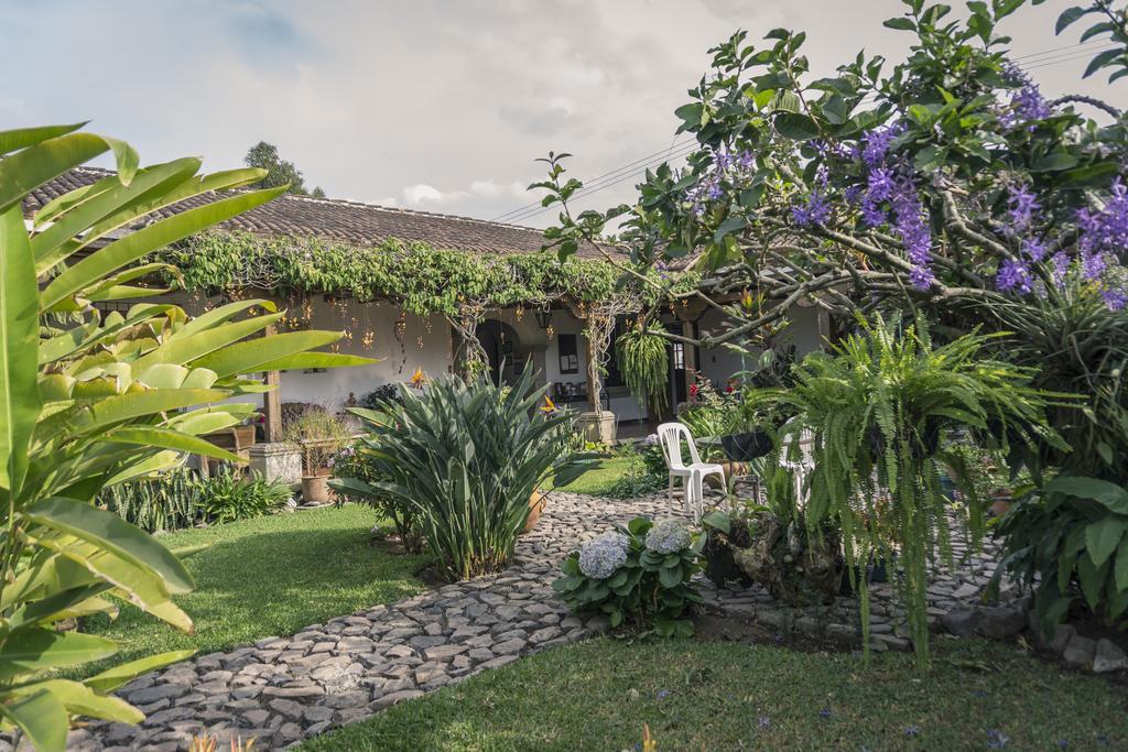 Hostal San Nicolas Antigua Ngoại thất bức ảnh