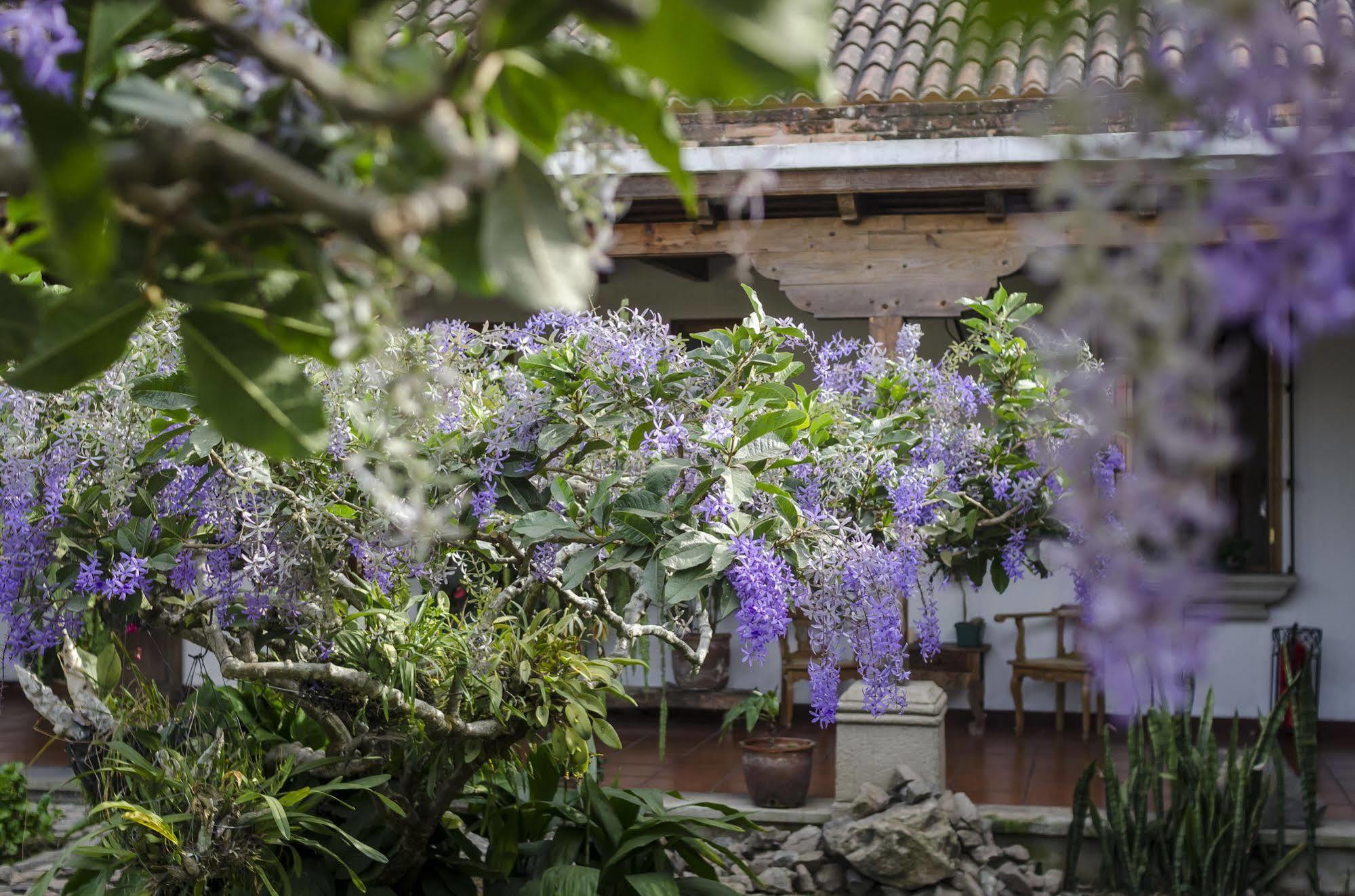 Hostal San Nicolas Antigua Ngoại thất bức ảnh